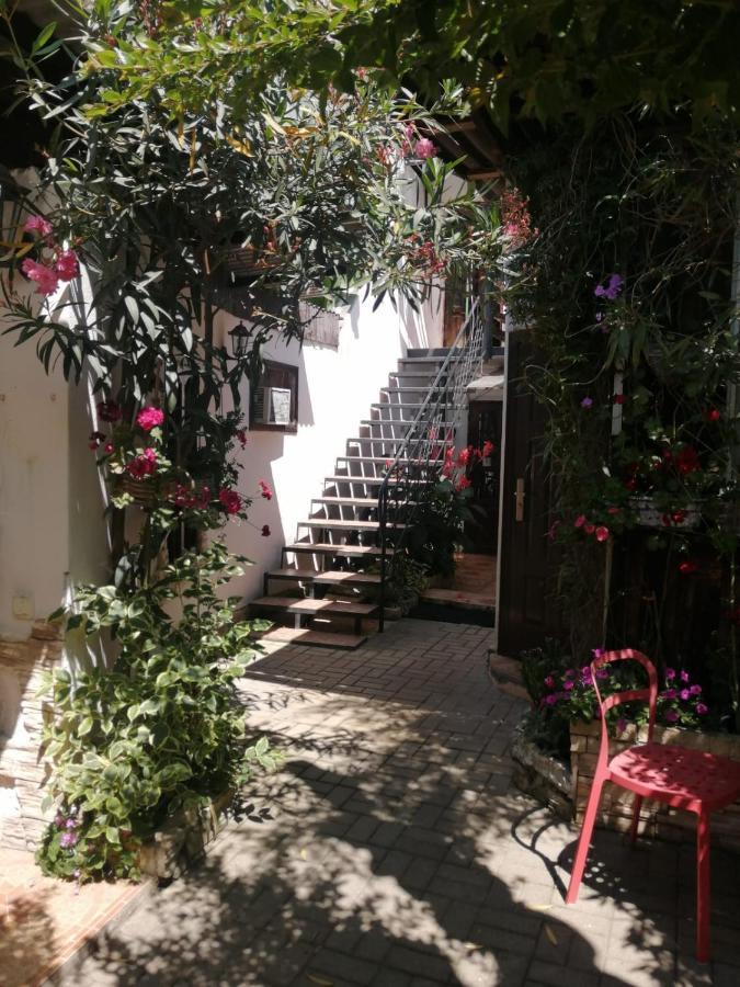 Magnoliia Hotell Sukhumi Exteriör bild